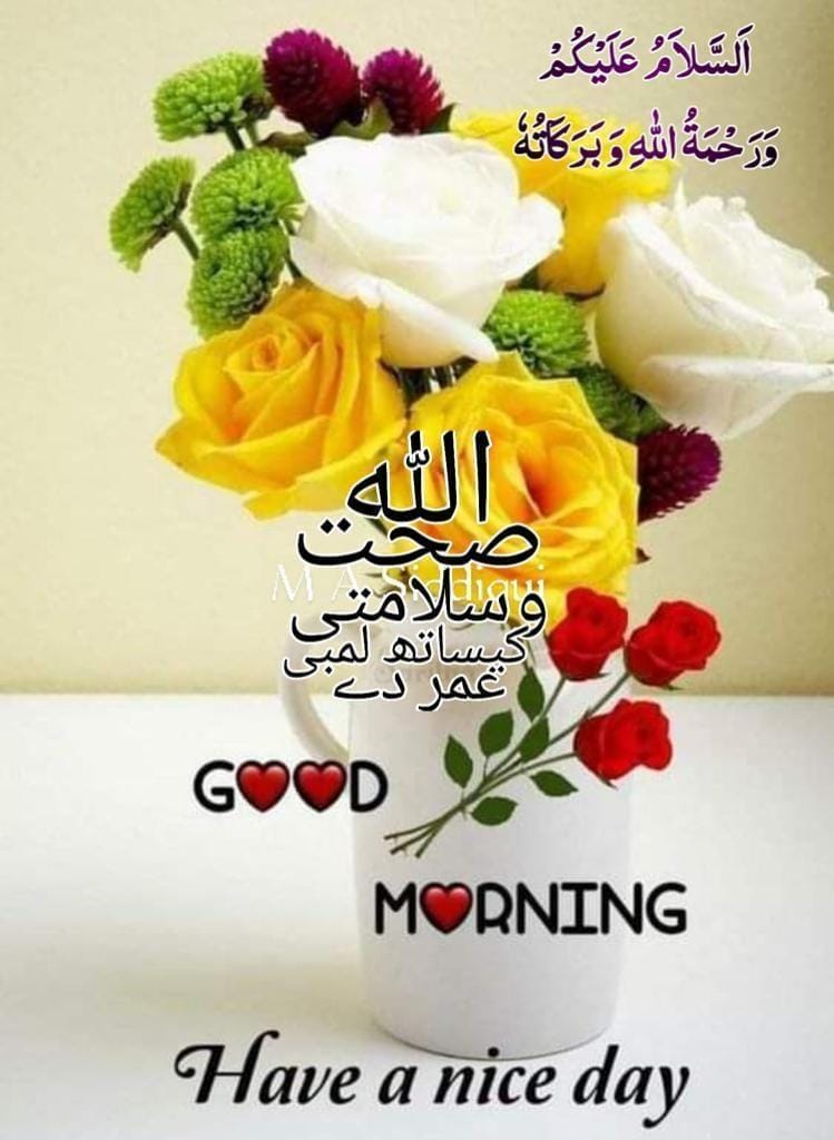 Have Good Day
#Goodmorning 
#GoodMorningEveryone
#GoodMorningTwitterWorld #Ajkihadees
#GoodMorningEveryone 
#ButtDaDeyra #DoHelp
#بٹ_دا_ڈیرہ 
@kzb23 
#QuranClass
*درود شریف پڑھ لیں #muharram #muharram1440 #instaqoutes #advertising #commercial