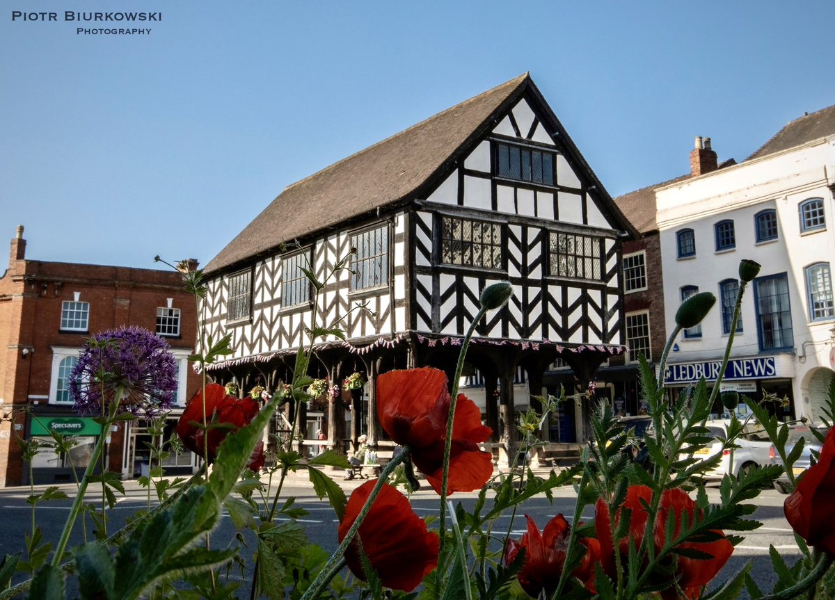 Piotr Biurkowski Photography tweet media