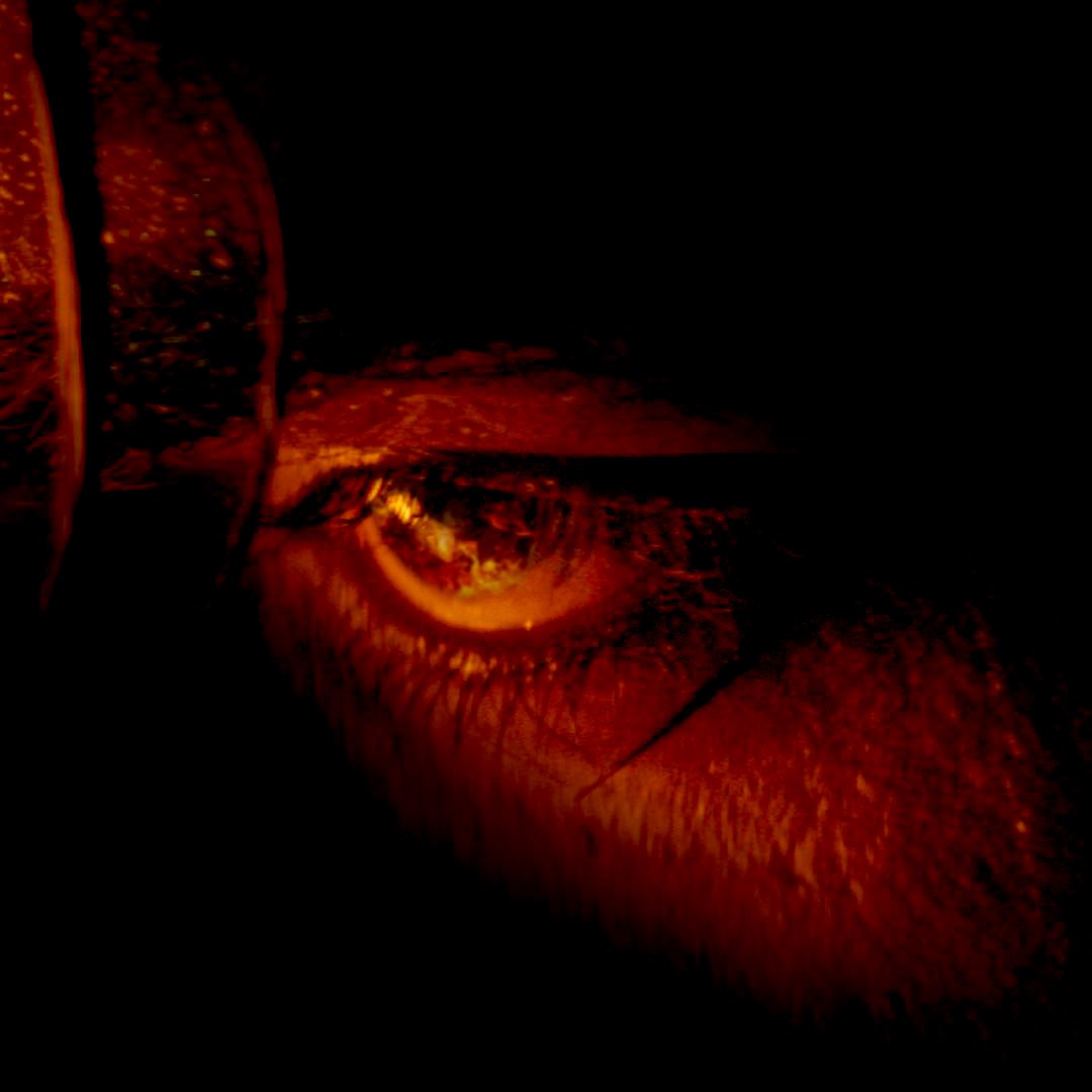 iammnaim's tweet photo. #Exclusive 
Watching you closely! Watch out.

#Jawan 

@iamsrk #Nayanthara #RutujaShinde #Priyamani @anirudhofficial @Atlee_dir @sanyamalhotra07 @VijaySethuOffl @deepikapadukone @WhoSunilGrover @iYogiBabu @actorvijay @duttsanjay https://t.co/FKELYzqDFc
