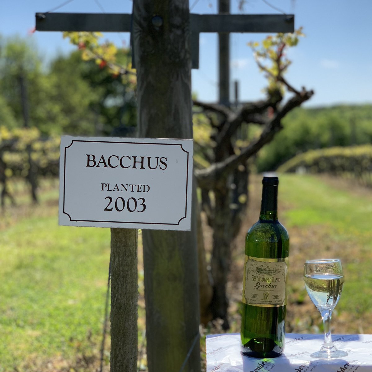 StephenJamesGBR's tweet image. Crucial to do your homework when applying for a parliamentary seat. Luckily, as a Man of Kent, I’ve been conducting ‘action research’ most of my adult life for the new Weald of Kent constituency which is next door to me! #LocalCandidate