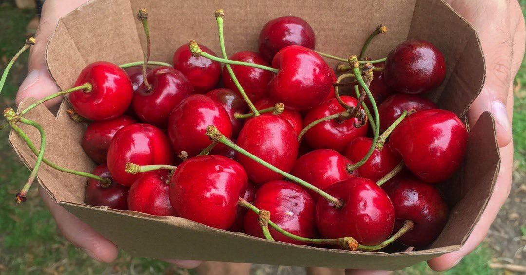 StephenJamesGBR's tweet image. Crucial to do your homework when applying for a parliamentary seat. Luckily, as a Man of Kent, I’ve been conducting ‘action research’ most of my adult life for the new Weald of Kent constituency which is next door to me! #LocalCandidate