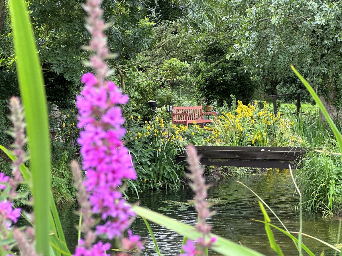 tudorfoodrecipe's tweet photo. If it wasn’t for that gale force wind, I could be tempted to enjoy that Sunday morning coffee outside #notmysummer https://t.co/Xxw1a5cLof