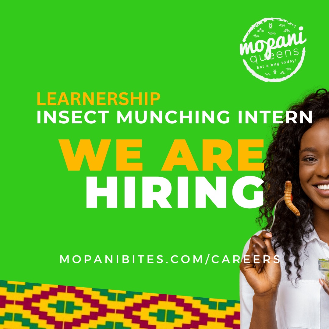 🦗🍽️ Join our Insect Munching Learnership Program! Embrace culinary adventure, explore sustainable food, and taste the future!

Apply now! 🌱🌟

mopanibites.com/careers

 #EdibleInsects #LearnershipOpportunity #hirering
