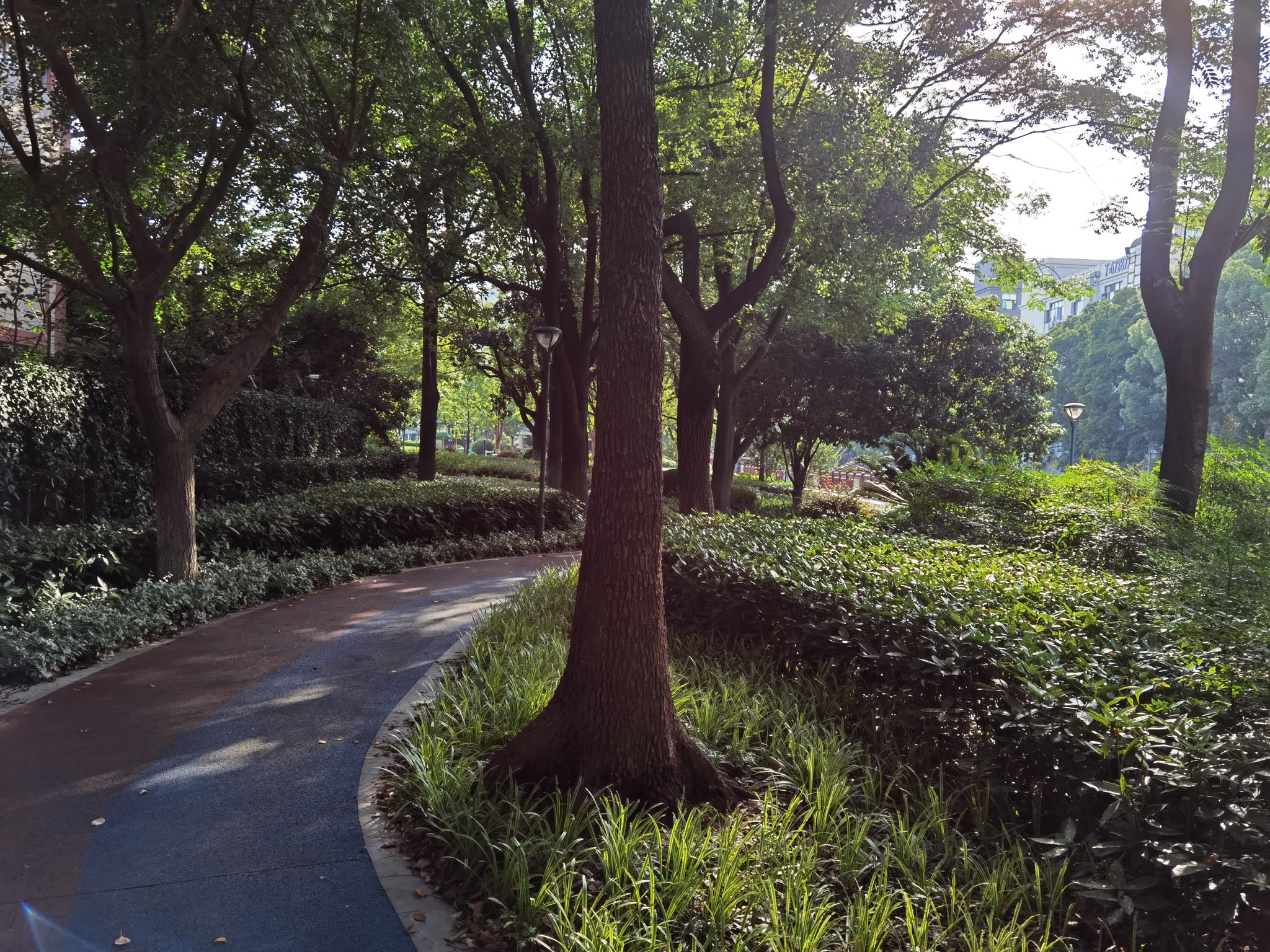 harald-in-china-on-twitter-shanghai-mandates-that-from-any-location