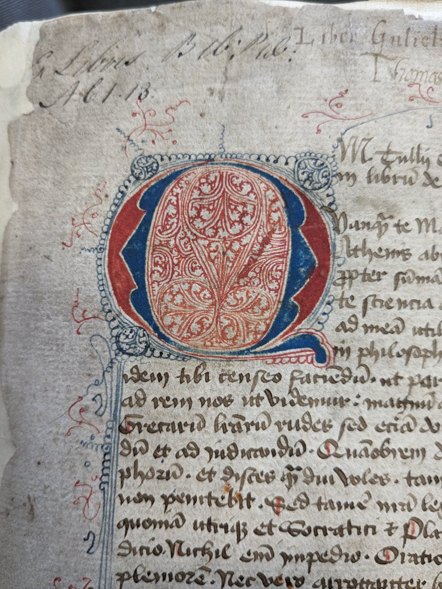 BryonyCoombs's tweet image. Home now from #Scoticonference (ICMRSLLC) after spotting 🦌and🦭from my train window this morning .
A hugely stimulating conference where I met many lovely, supportive, and like-minded people; the organisers should be very proud✨
Also, the manuscripts - the lovely manuscripts🤩