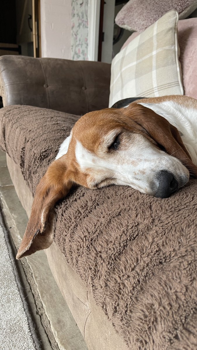 Phil Sledge tweet media