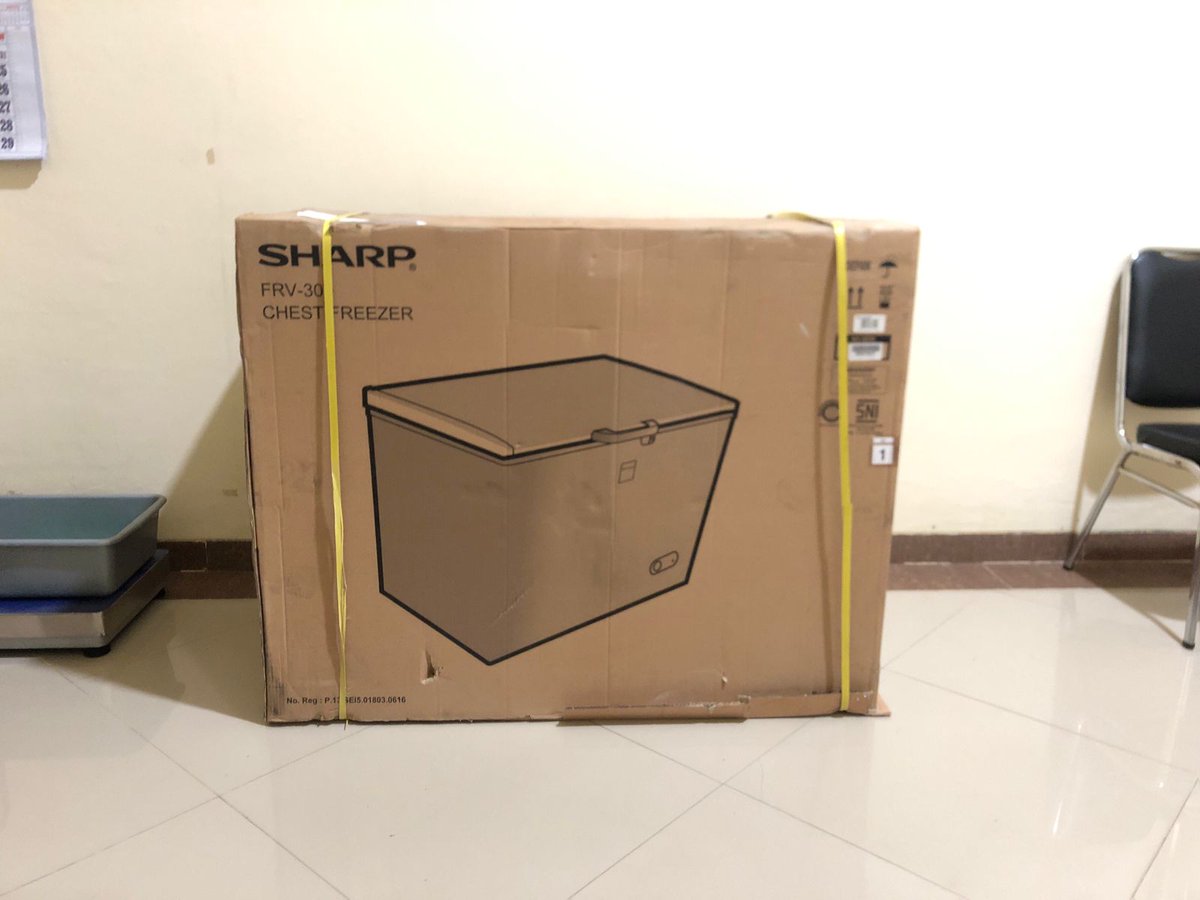 Improving capacity of local institutions is a core part of our present Kalimantan project. Tarakan BPSPL now armed with a  freezer and a Glyphis ID guide. We also had a great time at Borneo University conducting a stingray dissection and vertebral ageing workshop. Semangat!