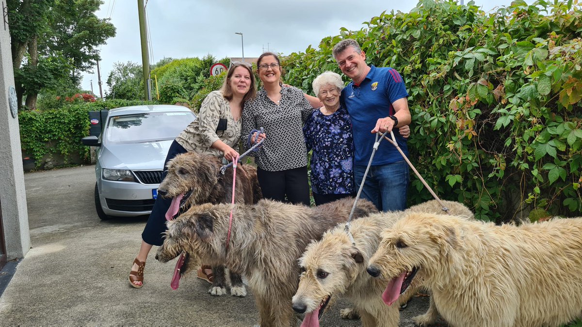 The wolfhound gang back for a visit🐶🙂
#irishwolfhounds