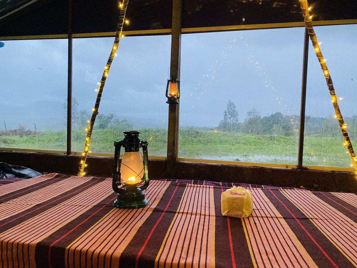 Kalammawadi Wildlife Tourism tweet media