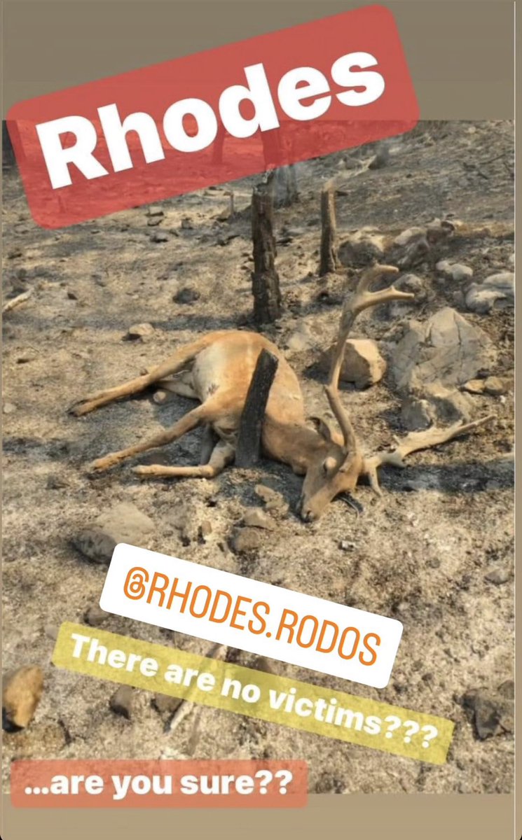 mavromitis1978's tweet photo. #rhodes #Rhodes #rodos #Ροδος ##rhodesfire #rhodesfires #rhodeswildfires https://t.co/3ai429wlyA