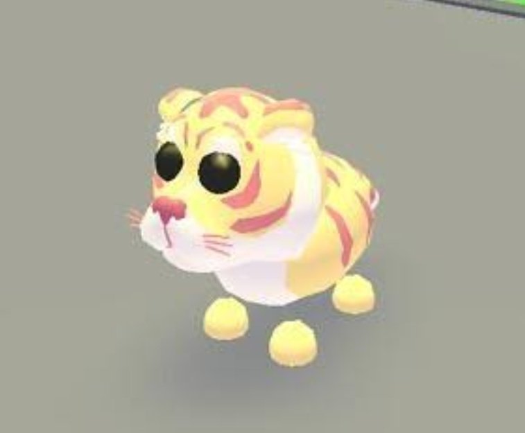 yan-on-twitter-giveaway-1x-lunar-gold-tiger-rules-follow-me-rt