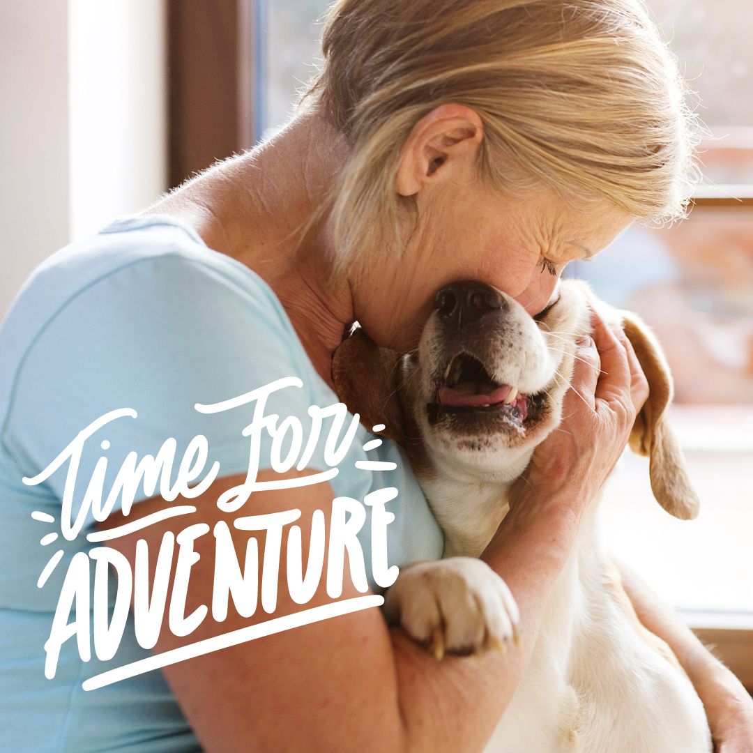 BroadreachN's tweet photo. Dogs are the best! Whether it's a walk in the park, a game of fetch, or simply cuddling on the sofa, dogs know how to bring excitement to our lives. Let's appreciate these adventurers by supplementing their diet with only the best on the market. https://t.co/xtVFOtexwu https://t.co/fmrPKYh5Sp