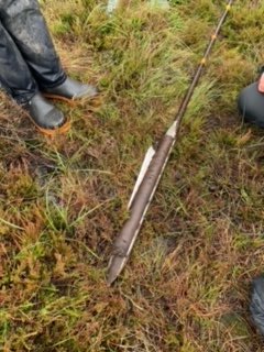 Happy #bogday - peat contains thousands of years of environmental data and amazing archaeological sites. By restoring them sensitively we ensure that our heritage is protected alongside our wildlife, trapping carbon, floodwater and creating space to enjoy our marvellous mires.