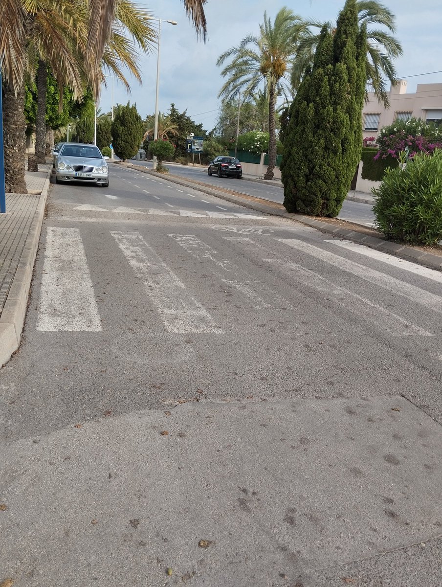 geliyd's tweet photo. @AytoOrihuela @plorihuela Otro año más me quejo de los pasos de peatones de #playasorihuela. Además de ser casi invisibles, son inaceptables para minusválidos con sillas de ruedas y cochecitos de bebé. Algunos tienen 20 cm de alto con jardinerías en medio. Tercermundista. https://t.co/4Ja3zDbD7f