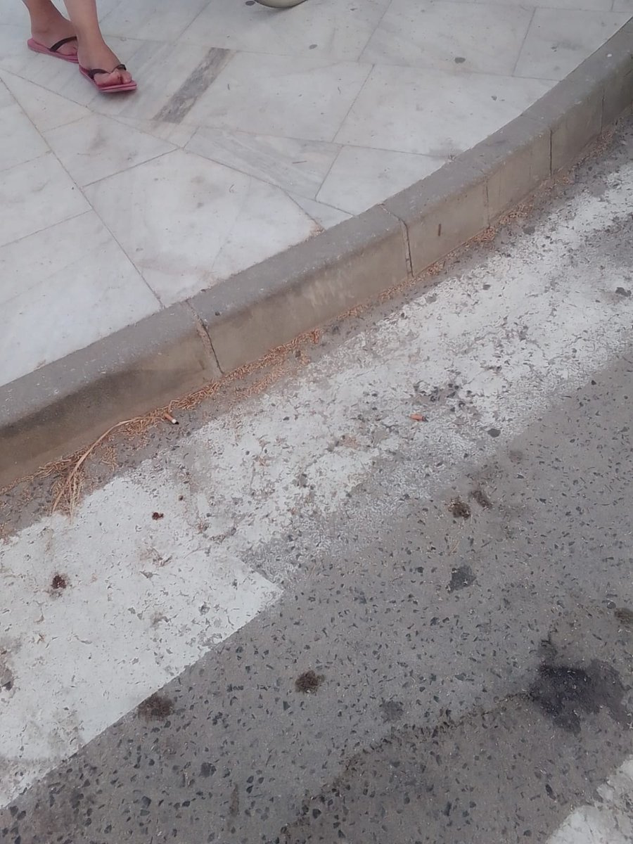 geliyd's tweet photo. @AytoOrihuela @plorihuela Otro año más me quejo de los pasos de peatones de #playasorihuela. Además de ser casi invisibles, son inaceptables para minusválidos con sillas de ruedas y cochecitos de bebé. Algunos tienen 20 cm de alto con jardinerías en medio. Tercermundista. https://t.co/4Ja3zDbD7f