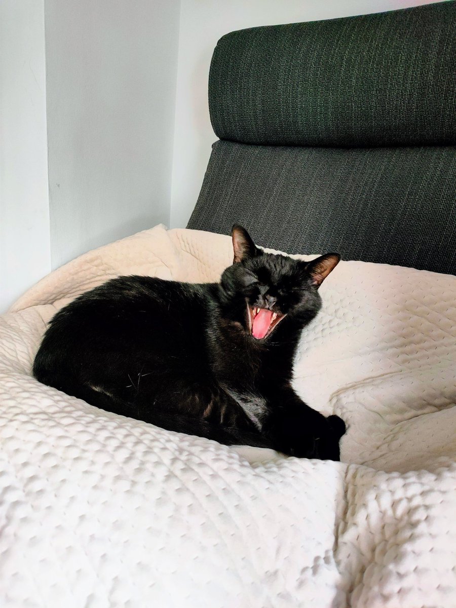 Jonathan Godsall tweet media