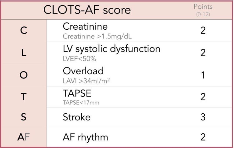 🫀Is it time we use new tools to evaluate the risk of LAA thrombus and stroke in AF patients? We can no longer ignore the left atrium in assessing stroke risk. 
The CLOTS-AF score is a new promising tool.
ahajournals.org/doi/10.1161/JA…