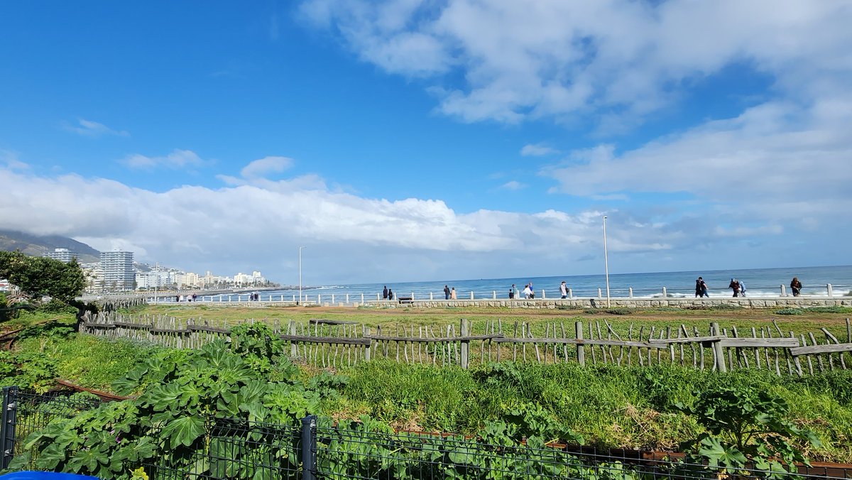 An actual submarine in #CapeTown. Spotted off Mouille Point.