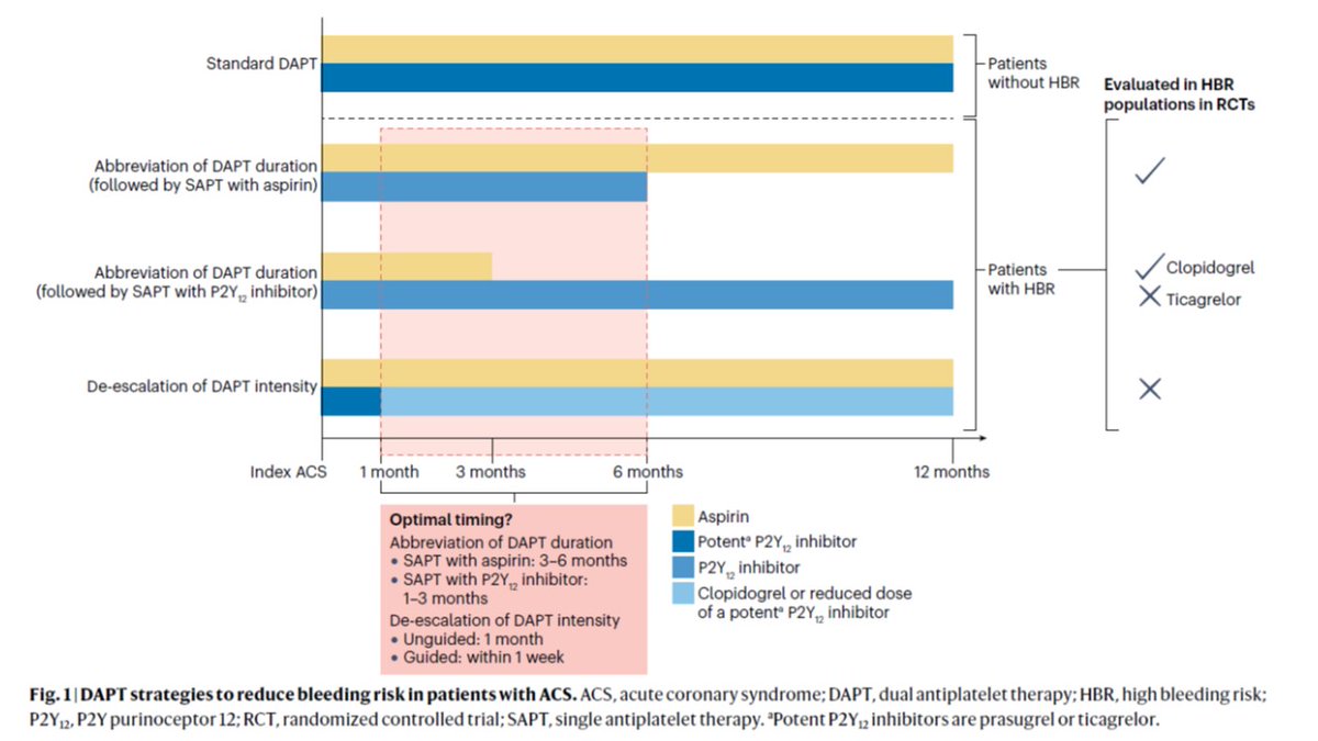 DrJLFerreiro's tweet photo. De-escalation vs. Abbreviation of DAPT in ACS-PCI
⚠️Antithrombotic strategies to reduce bleeding risk

Our consensus statement just published in Nature Reviews Cardiology
https://t.co/X1i29Ei2a0

@secardiologia @shci_sec @clinica_sec @GTrombosis 
@JovenesSec @ResiSec @AgudosSEC https://t.co/VgusmgrQXF