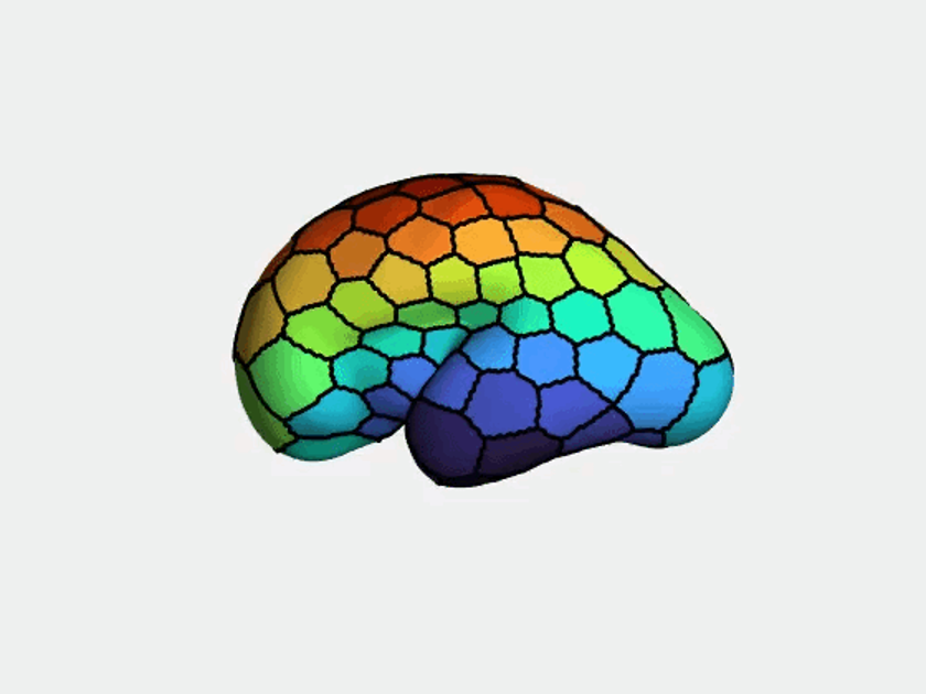 On Monday (11:00) the inimitable <a href="/StuartJOldham/">Stuart Oldham</a> will be discussing

Development of thalamocortical connectivity during the third trimester

Not to be missed if you have any interest in developmental connectomics, or want to see an AMAZING presenter with some powerpoint magic!