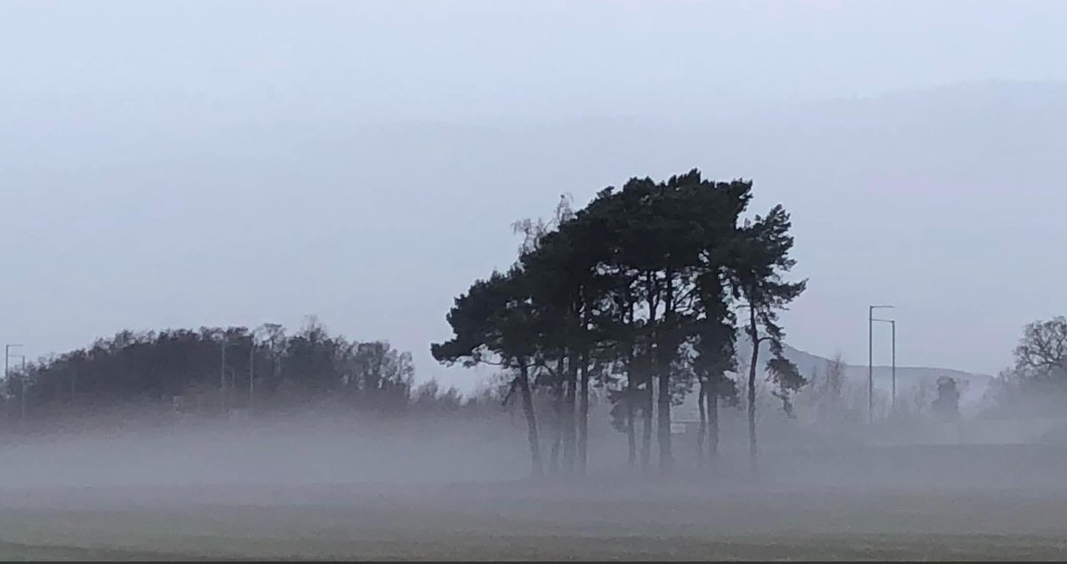 JOHN NICOLSON ๐ต๐ธ ๐บ๐ฆ ๐ฌ๐ฑ tweet media