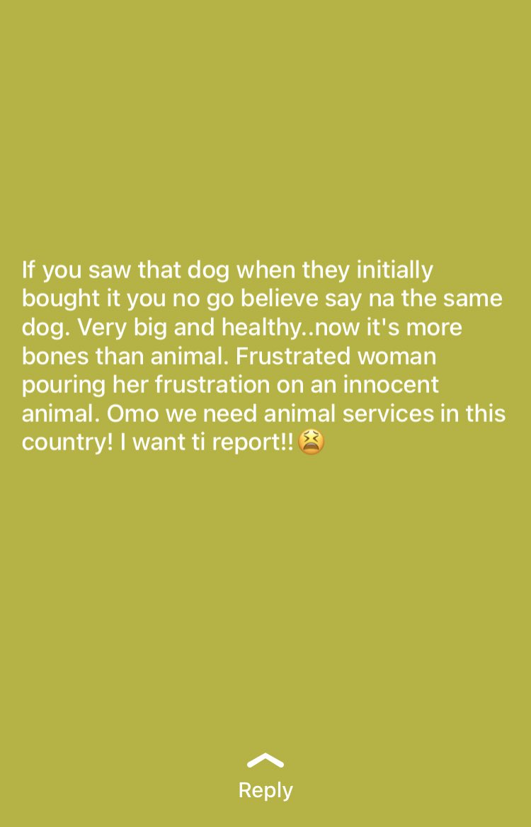 Do we have animal service in Nigeria ? @DavidHundeyin @EURightsAgency @WOAH #Doglivesmatter #Pets #AnimalAbuse #Dogabuse