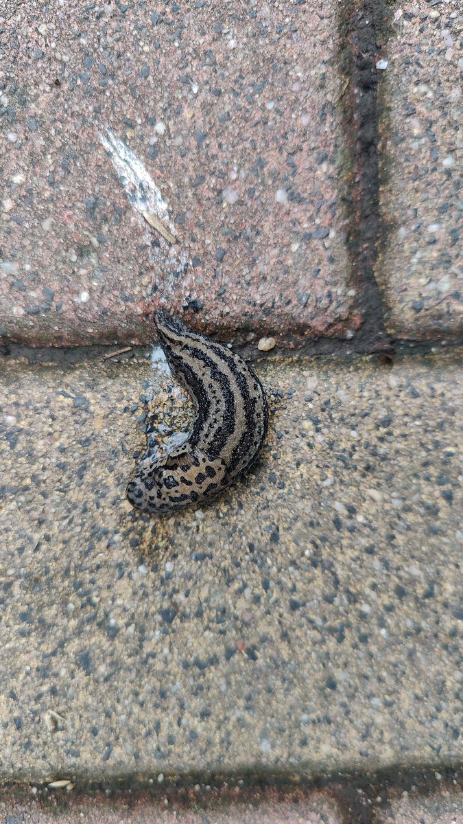 Easy Rider tweet media