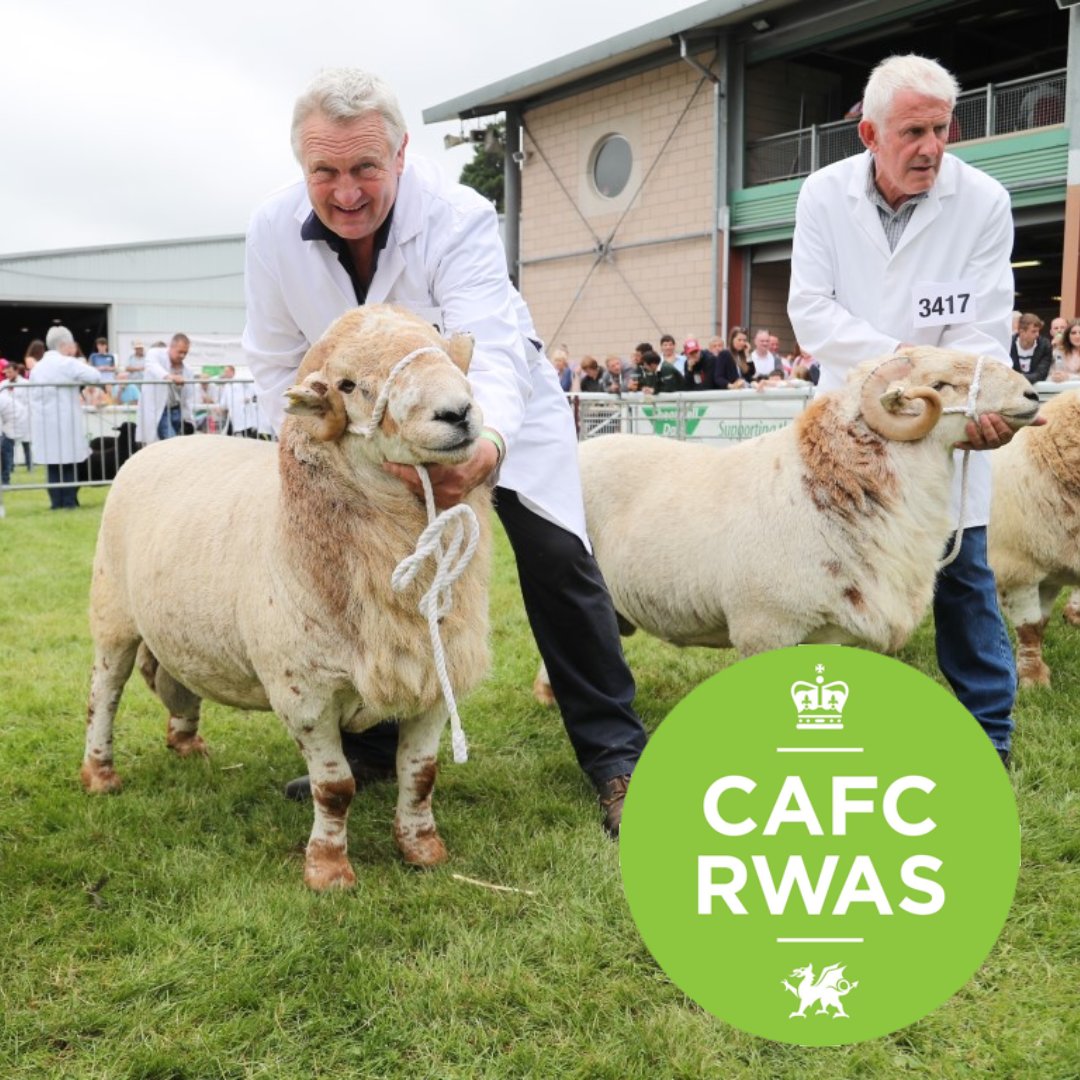 Datamars Livestock tweet media