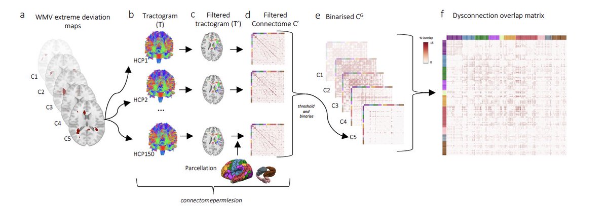 And finally, on Tuesday you can stop by Poster #1833 to discuss normative modelling of white matter alterations in psychiatric disorders with <a href="/AshleaSegal/">Ashlea Segal</a>