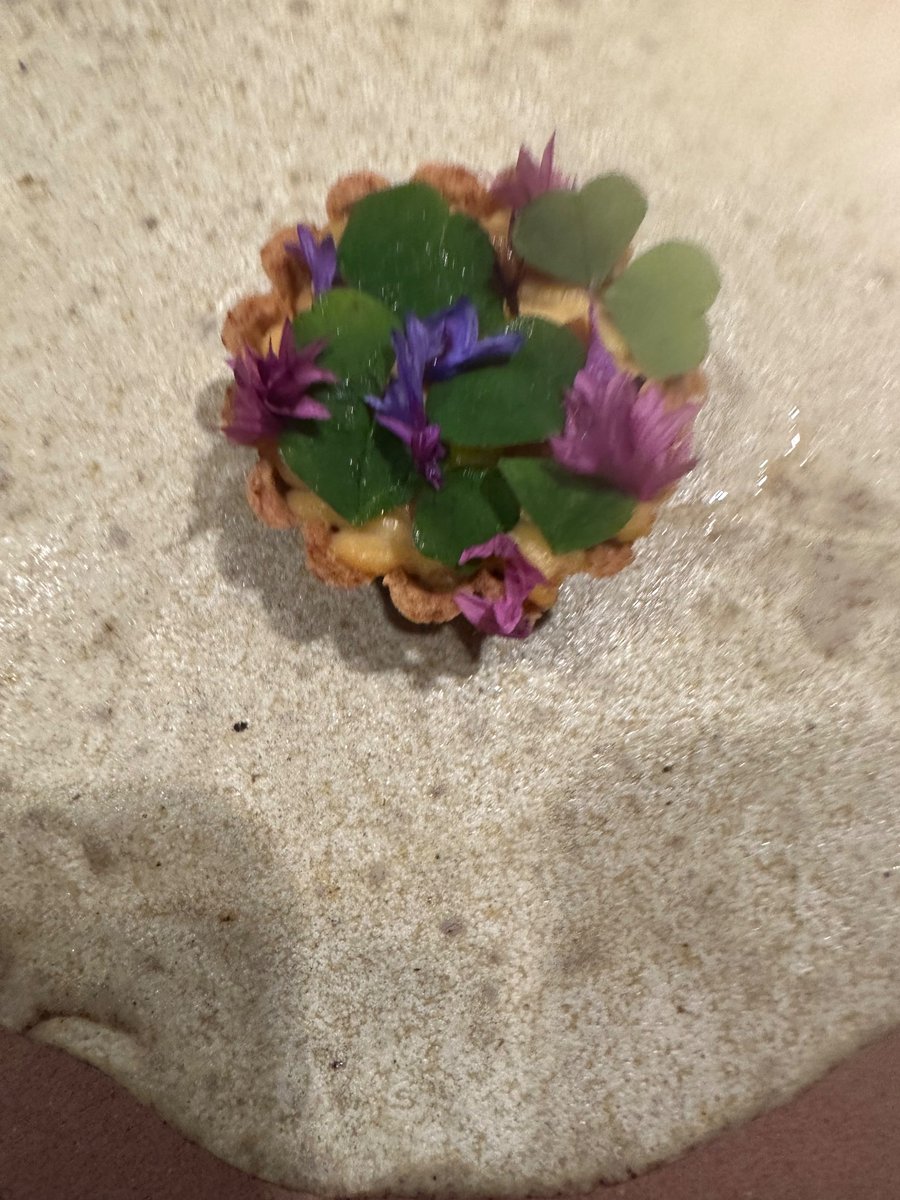 richdeykin's tweet photo. 1/2 I’ve completed another Michelin star, restaurant when had dinner at @HamptonManor ,GRACE &amp; SAVOUR .  most disappointing tasting menu I’ve ever done. I don’t normally review places. The first few dish were delicious. So much flavour out of a tomato. Great service. https://t.co/BYR7mHcDW3