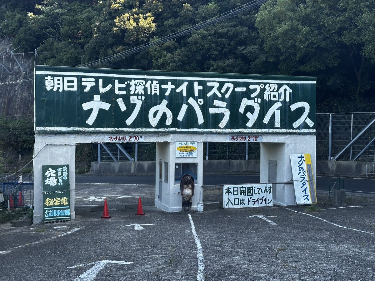 danjiris's tweet image. 