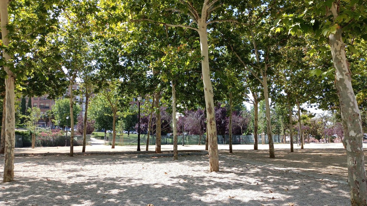 _raneh_'s tweet photo. En vez de parque infantil y cancha de voleibol, mesas de ping-pong.... La nada. Menos césped, más nada. @MADRID #parquedelacornisa #cambioapeor #mascalor https://t.co/jZ2HaDeuYZ