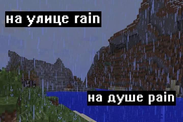 cactus_is_love's tweet photo. kad nopērc vilciena biļeti, bet konduktors visu ceļu tā arī to nepārbauda https://t.co/4aK1hTYUKF