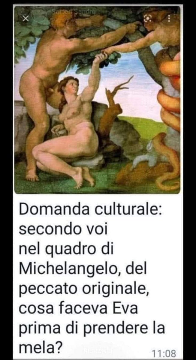 helèna santoro tweet media