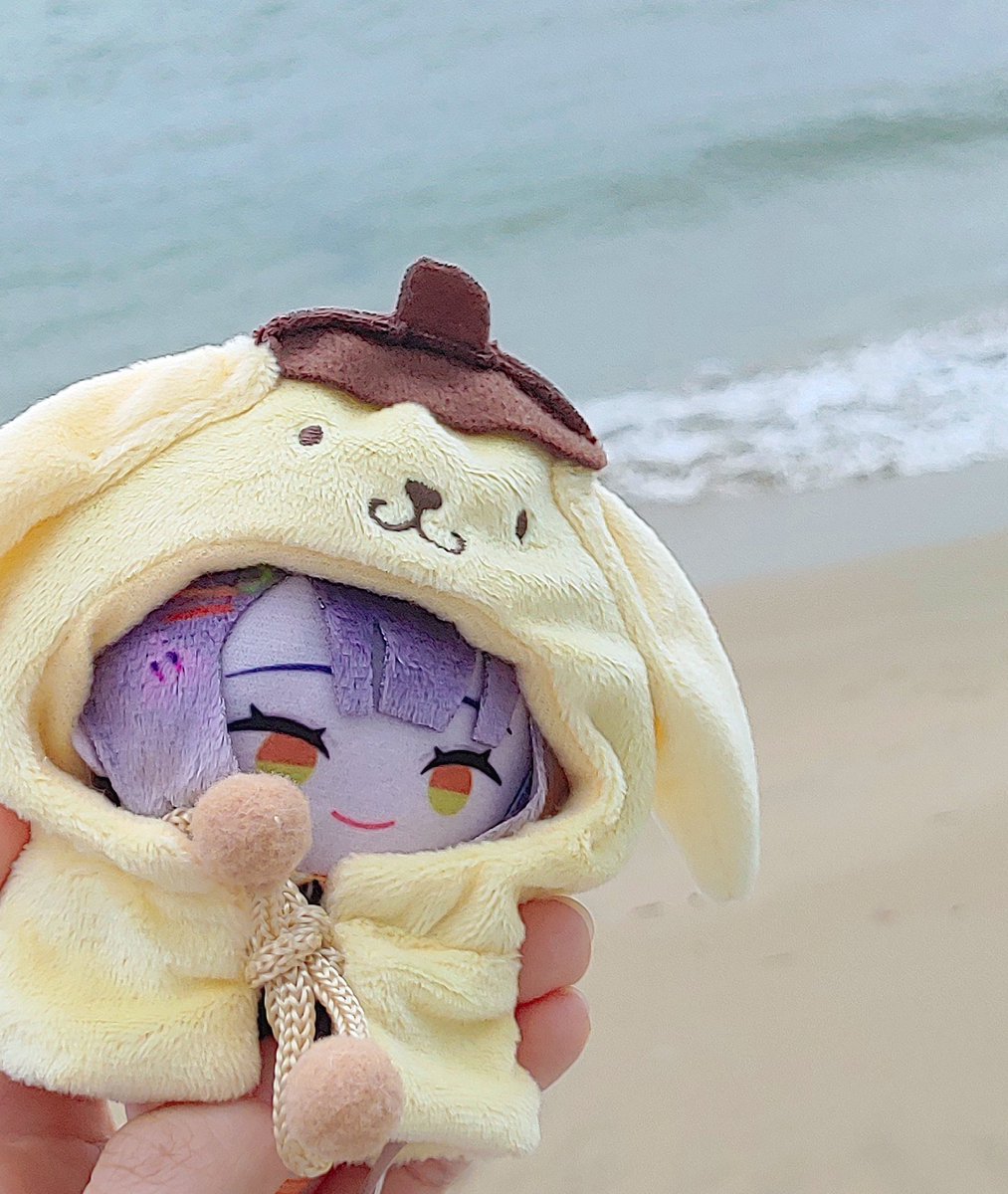 1girl solo smile purple hair multicolored eyes beach hood  illustration images