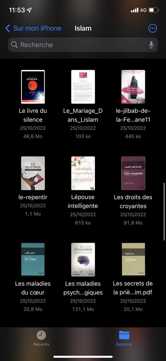 nolese34's tweet photo. d’ailleurs j’ai plein de livre sur l’islam en pdf (y’en a d’autres) si y’en a que ça intéresse ^^ https://t.co/Vz0BSIKrHe