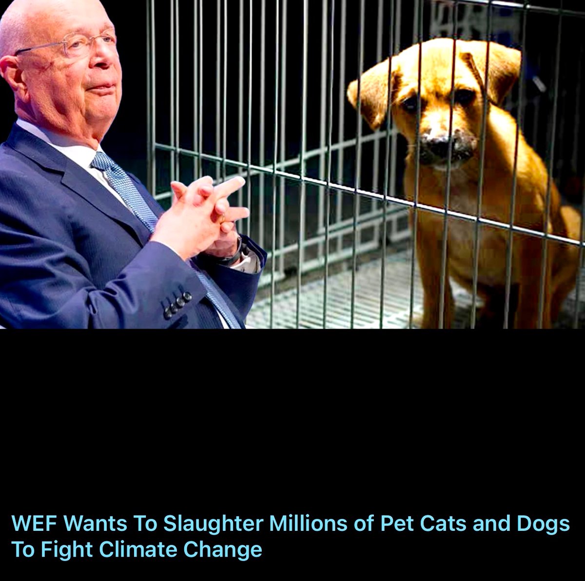 Sproetje tweet media