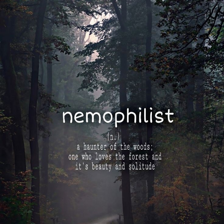 rosacruz7's tweet photo. word of the day: #nemophilist
Add that to the list of #ThingsIAm https://t.co/TWQE5A5tfB