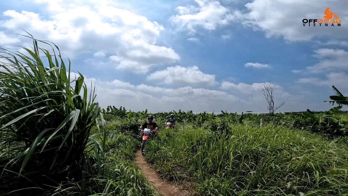 vietnamriders1's tweet photo. Dirt bike riding takes bikers off the pavement into the wilderness anytime they want. 💗

🛜 https://t.co/EL1g9omduo

#offthepavement #intothewilderness #sensescomealive #vietnam #xuhuong2023 #trending2023 #motorbike #tour #rental #honda #XR250 #XR150L #CRF150L #CRF250L #CRF300L https://t.co/ou5OcvOhkW