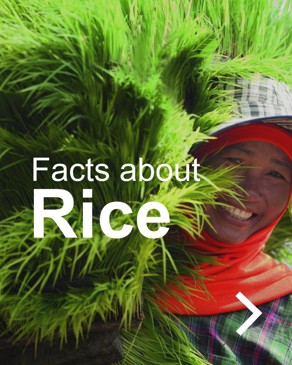 BASF Agricultural Solutions tweet media