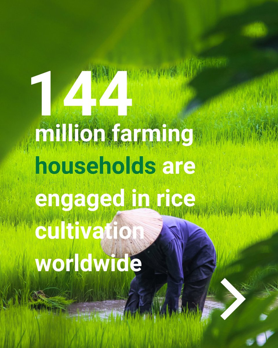 BASF Agricultural Solutions tweet media