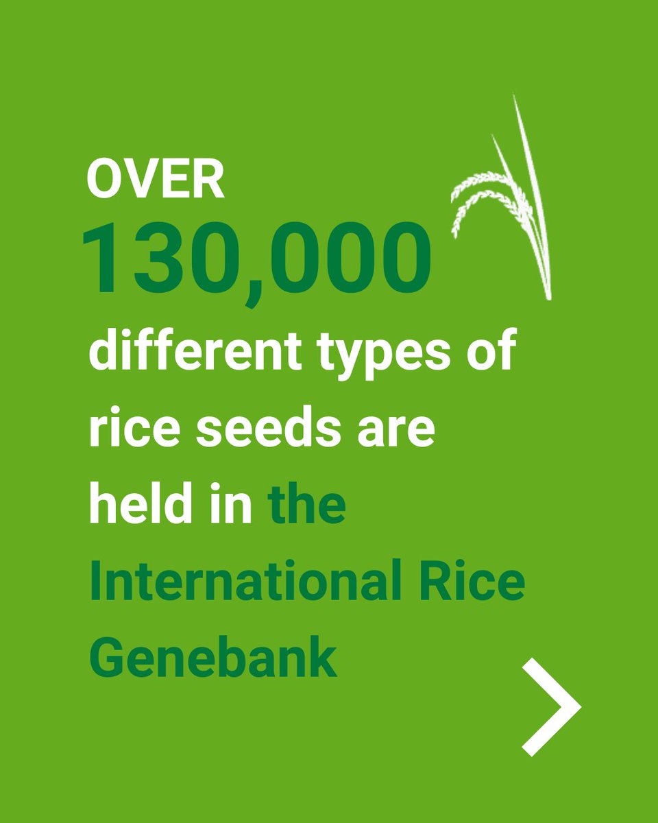 BASF Agricultural Solutions tweet media