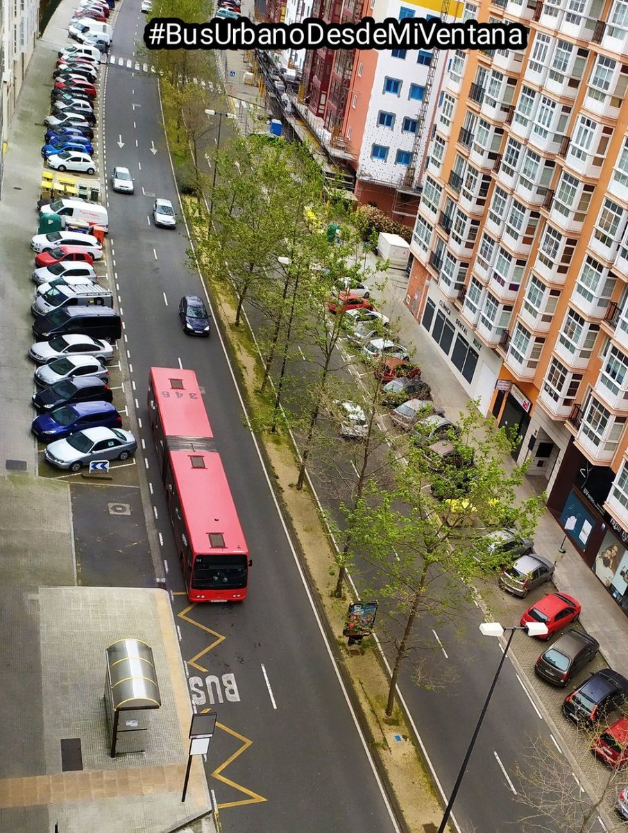 BlogBusurbano's tweet photo. ❗Nos dicen que la #Lín21 luce hoy domingo 23 de julio (#EleccionesGenerales2023) autobuses articulados.
#Bus340 #Bus362
#BusArticulado
#NovoMesoiro https://t.co/1o1cBglbzU