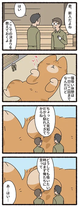 ねこもんすたー じゃいあんと #ねこもんすたー #ねこようかい