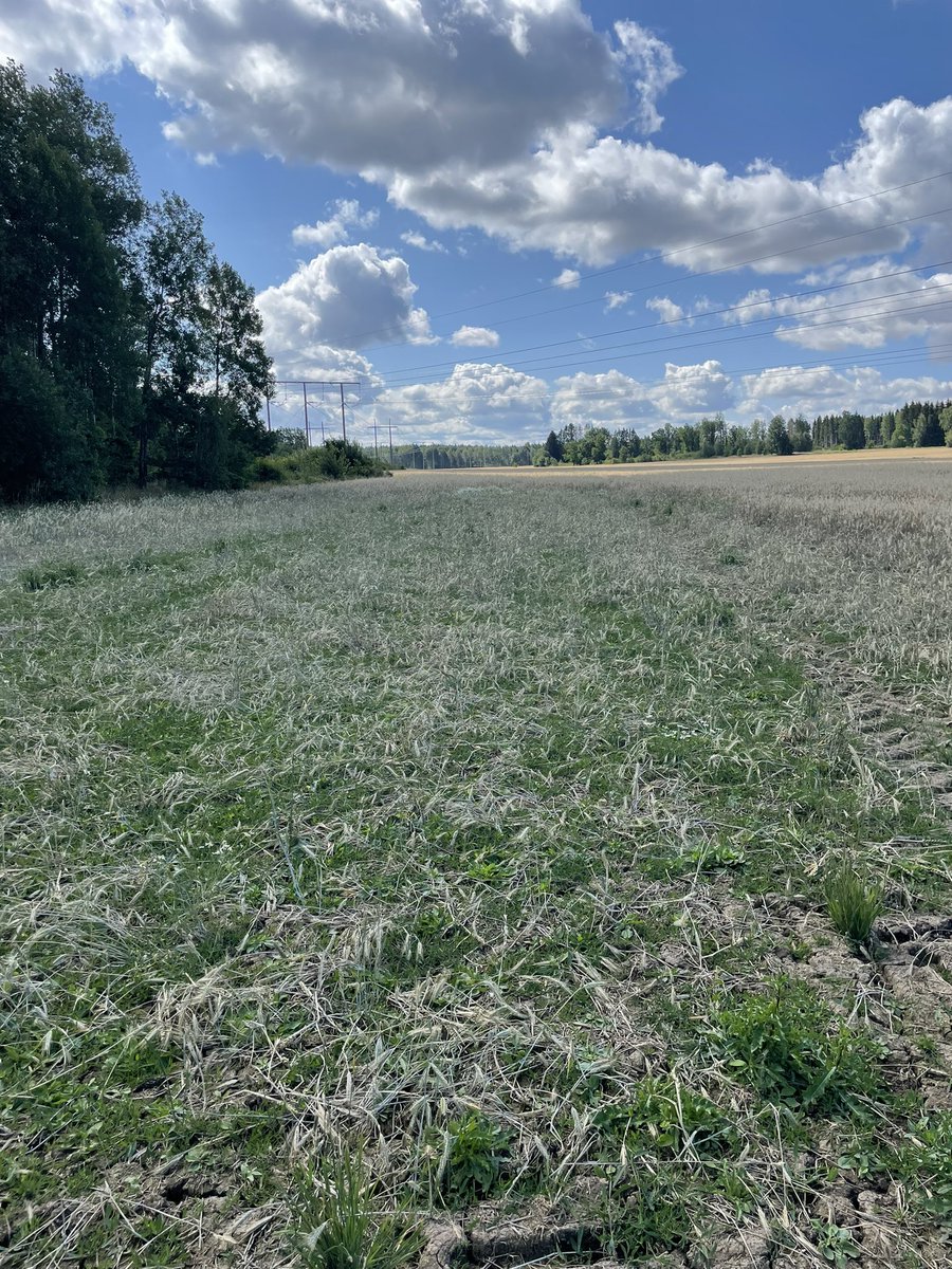 Va ute på en åker. Fält good might delete later