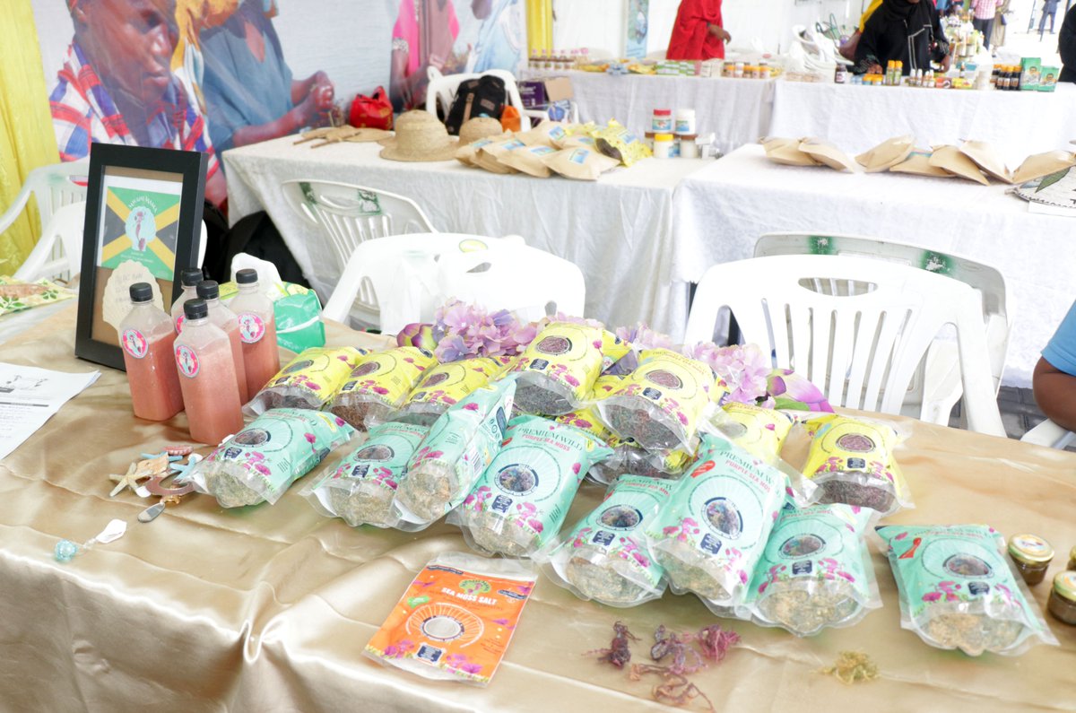 In collaboration with MZF, ZaSCI and other seaweed stakeholders are commemorating the 8th Seaweed Day in Zanzibar. The event was officiated  by the President of Zanzibar Hon. Dr. Hussein Ali Mwinyi. This year's theme is “Capital and innovation for sustainable seaweed markets".