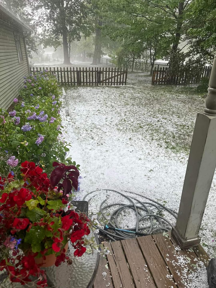 Compilation of all the videos, Images from Hail storm in 
South Alabama, 
Interlochen, Michigan, 
and Rochester, Minnesota

“Weather report for Interlochen, Michigan. Scattered thunderstorms possible severe thunderstorms with a side of hail. 
https://t.co/O23Rqauz6W https://t.co/z56C5U9W3G