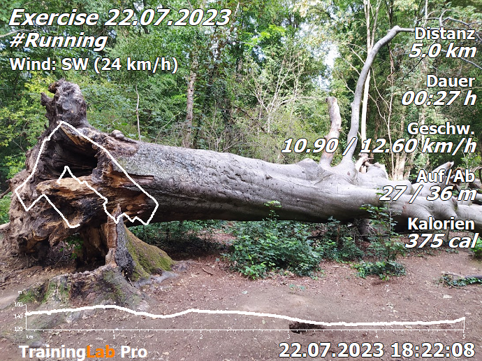 WRPSoft's tweet photo. Die letzten Unwetter haben bei uns auch ein paar Spuren hinterlassen🙄Die lockere Laufrunde ist dann fast zu einem #Crosslauf #Traillauf🏃♂️mutiert. Immerhin, die Form ist nach dem letzten C-Infekt Ende März seit Mitte Juni wieder einigermaßen ok👍#TLAB6 https://t.co/PmO9do2N9D https://t.co/kP7QOCP6IW