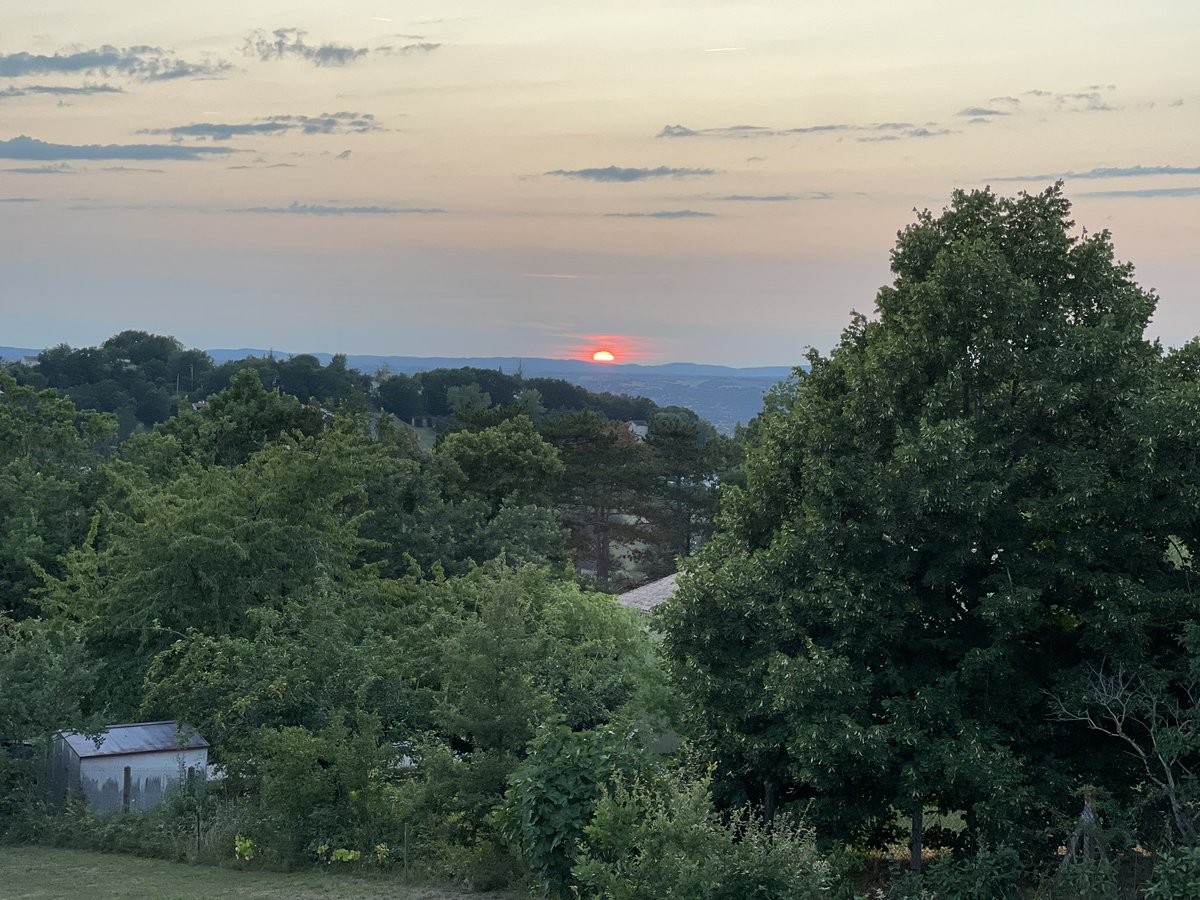 madiha ellaffi tweet media