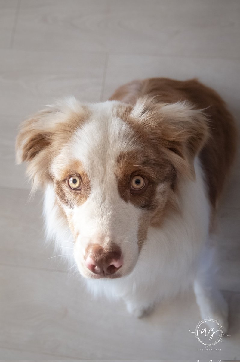 Phot_Aurelien tweet media